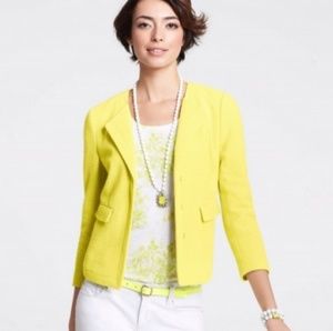 ANN TAYLOR Lime Green Cotton Blazer Size 2